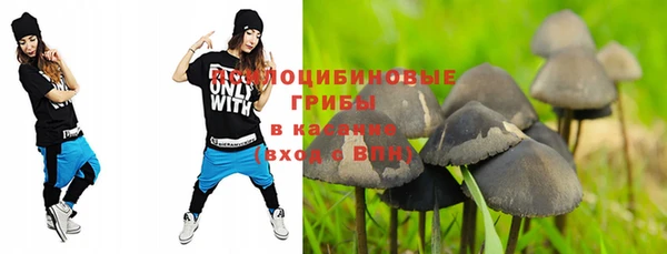 стаф Арсеньев