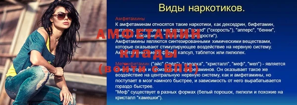 стаф Арсеньев